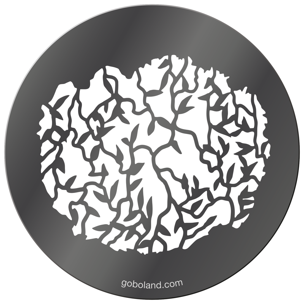 1 260 043 - Vines