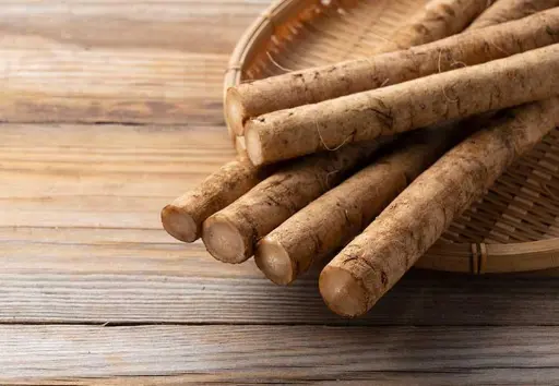 Burdock root vegetable also known as Gobo UK London